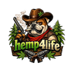 Hemp4life – Начало